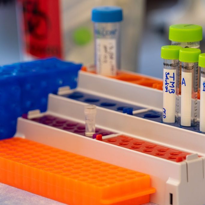 Close up of sample vials in colored trays