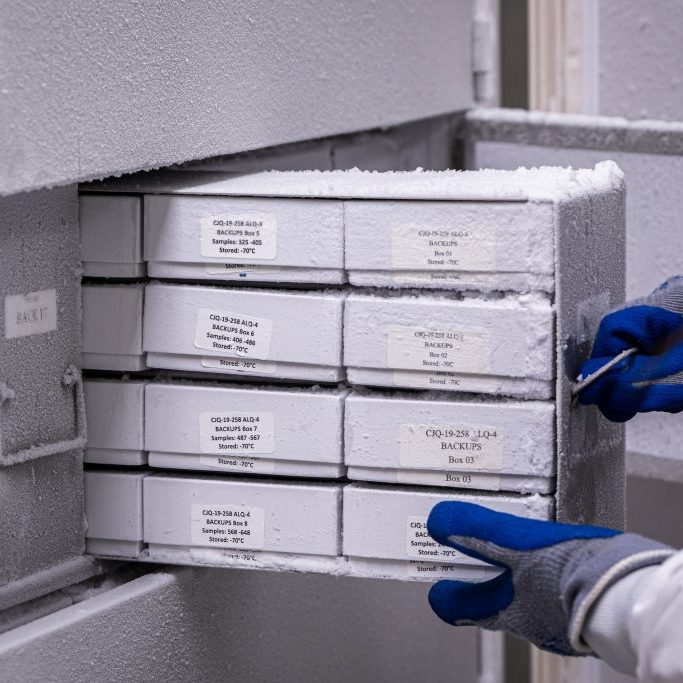 Scientist removing samples from freezer